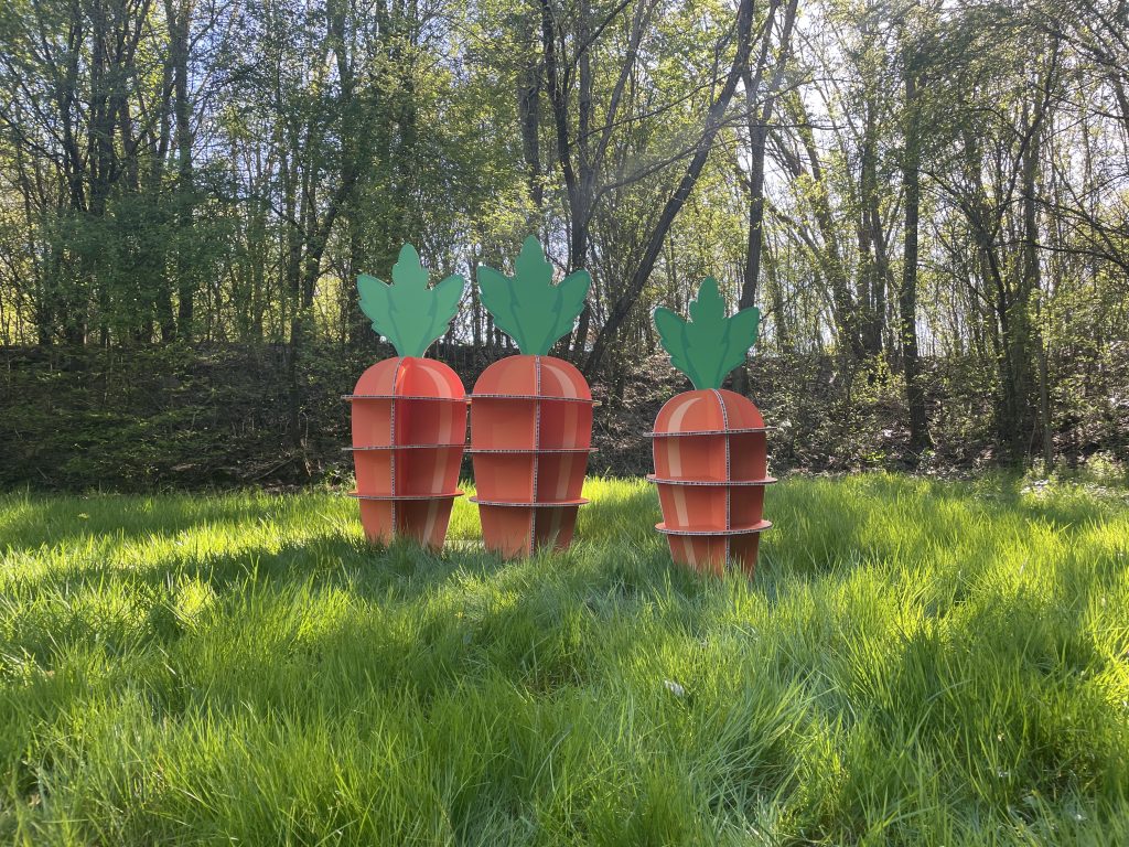 Carottes cartonnées